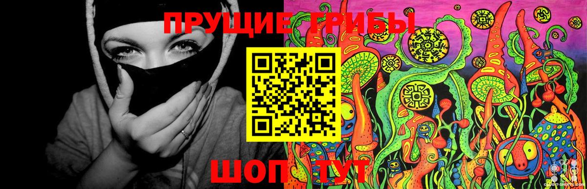 Муром  Галлюциногенные грибы прущие грибы  Вход с VPN 