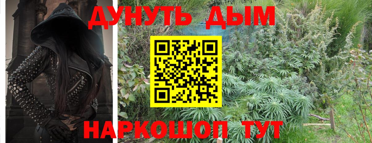 Конопля AK-47  Шишки марихуана план  Вход с VPN  Муром  Марихуана AK-47 